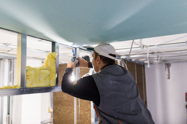 Best Residential Insulation Services  in Boynton Beach, FL