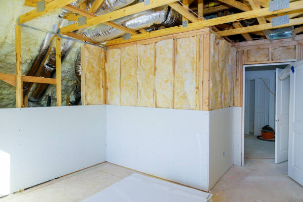 Best Insulation Replacement Services  in Boynton Beach, FL