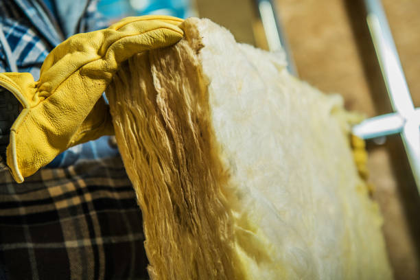 Best Insulation Contractor Near Me  in Boynton Beach, FL